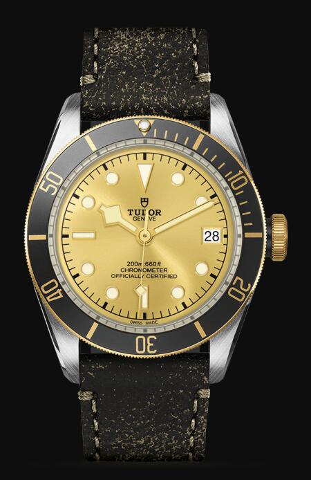 Tudor BLACK BAY S&G M79733N-0003 Replica Watch